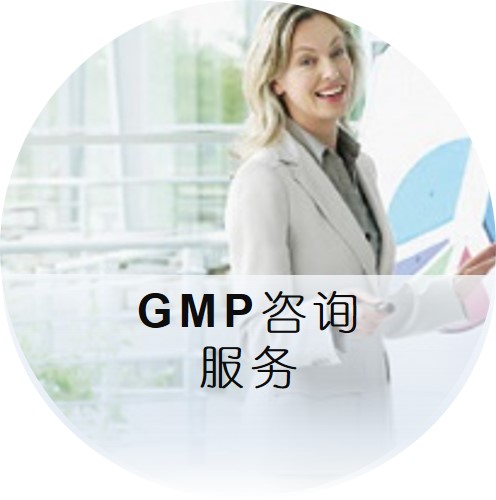 GMP咨询